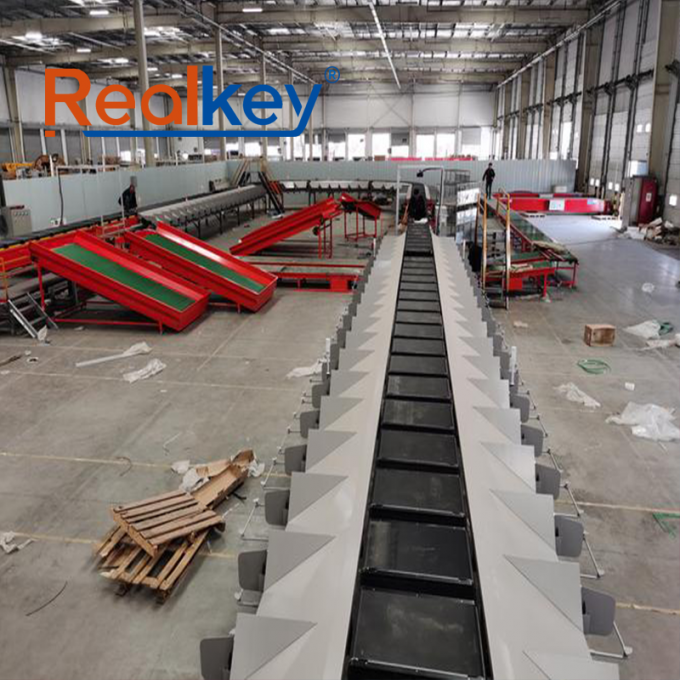 Realkey مرتب کننده کمربند متقاطع in operation