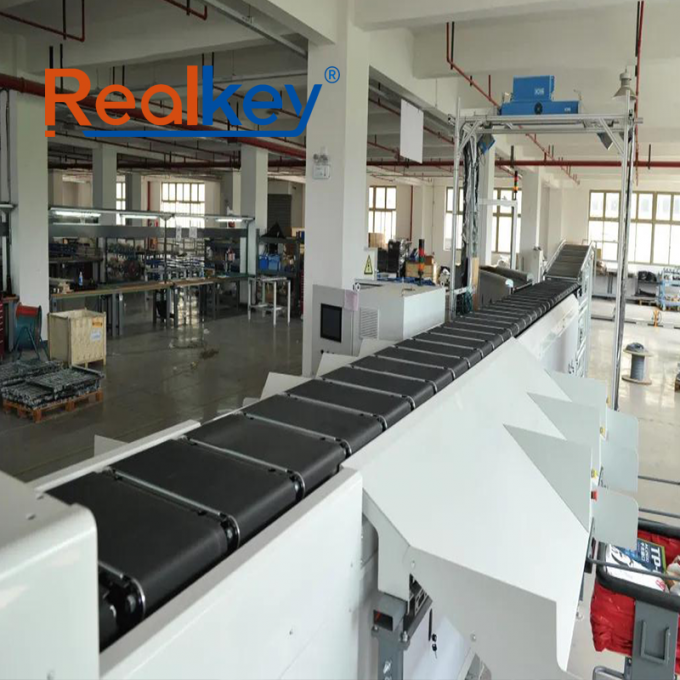 Realkey مرتب کننده کمربند متقاطع in operation