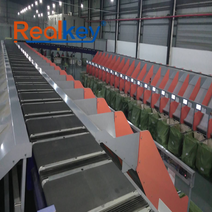 Realkey مرتب کننده کمربند متقاطع in operation