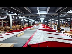 Effective Package Sorting Machine Modular For Fragile Items Customized Solutions