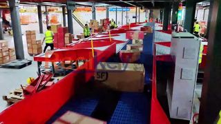 Automated Sorter 99.99 Accuracy