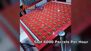 High Speed Parcel Sorting Conveyor 6000 Pieces Per Hour