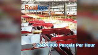 High Speed Swivel Wheel Sorter for Warehouse Automation