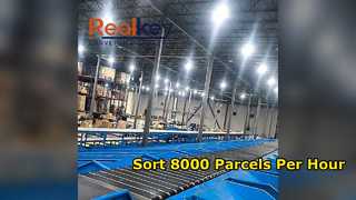 Advanced Parcel Sorting System for Warehouse Efficiency