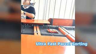 Robust Split Tray Sorter High Speed Warehouse Automation